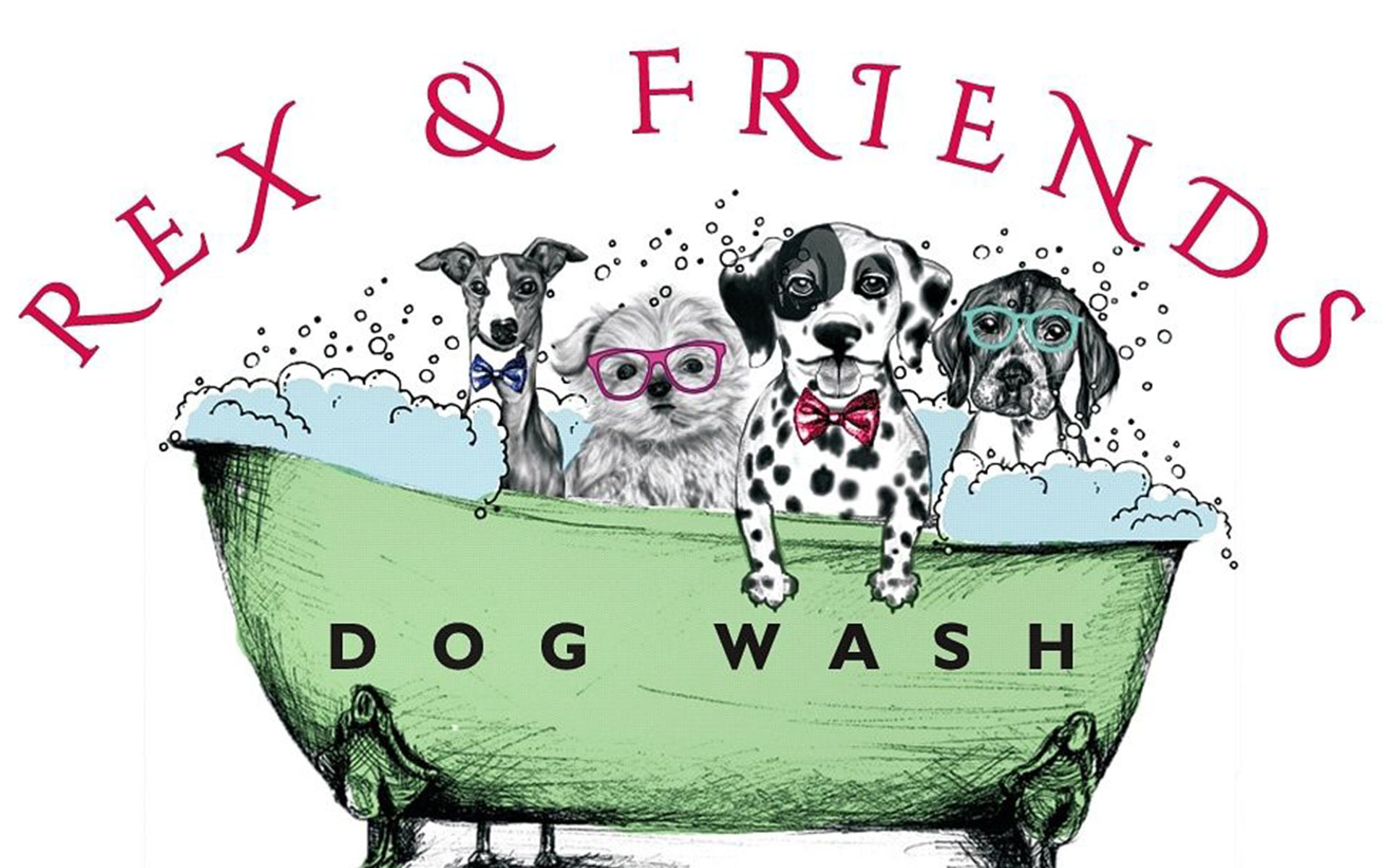 Rex and Friends Dog Wash