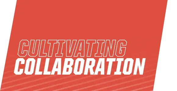 Cultivating Collaboration